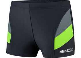 Laste ujumispüksid Aqua-Speed Andy hall/roheline