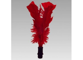 Indiaca sulg Bremshey