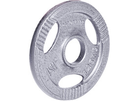 Raskusketas inSPORTline Hamerton 1.25 kg 30 mm