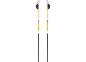 Reguleeritavad kõnnikepid Insportline Potosi