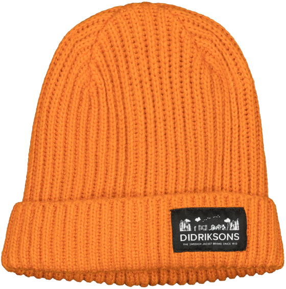 Müts Didriksons BUS Kids Beanie oranž