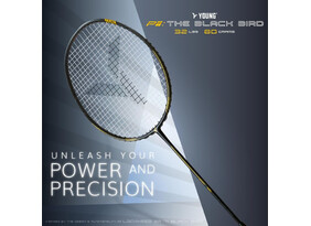 Sulgpallireket YOUNG Racket The Black Bird