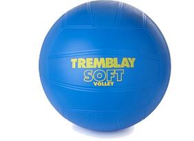 Võrkpall PVC Tremblay diameeter 20 cm, kaal 220 grammi