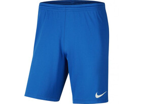 Meeste treeningpüksid Nike Park III sinine