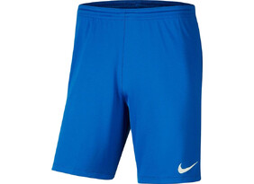 Laste treeningpüksid Nike Youth Dri-Fit PARK III SHORT sinine